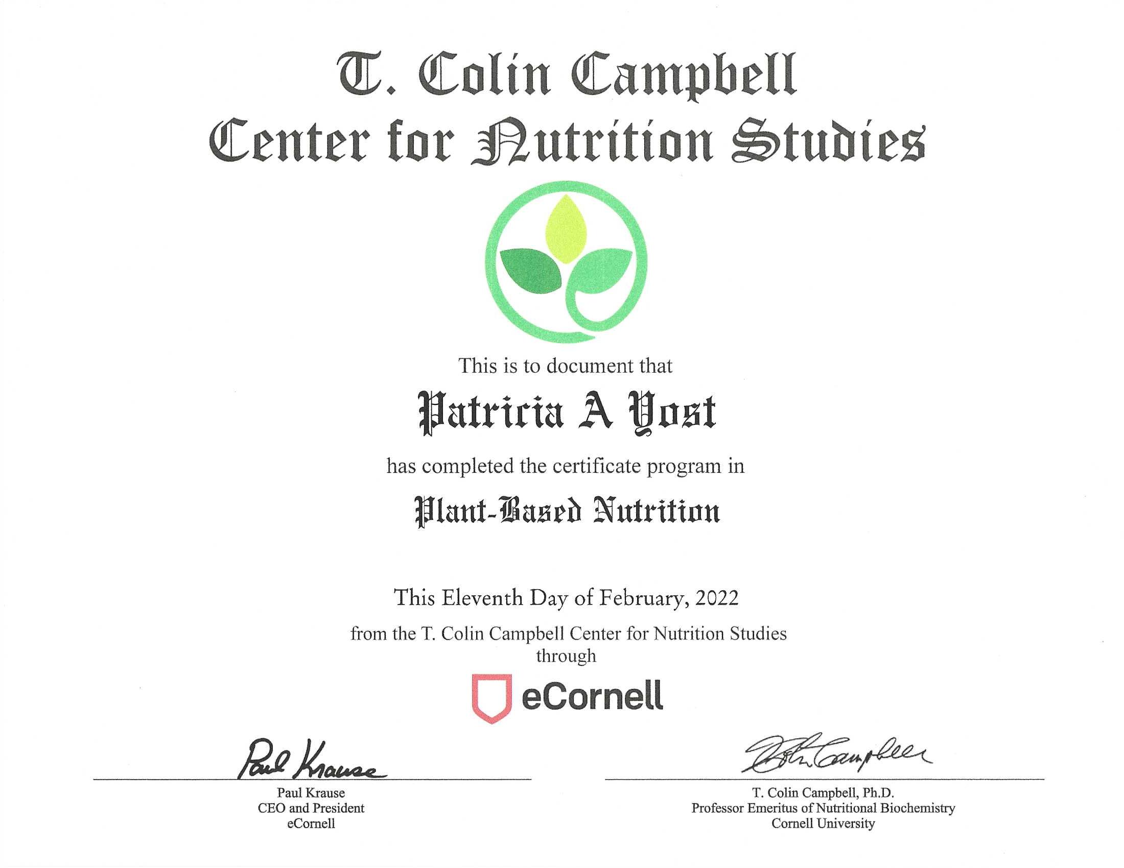 cns certificate of completion